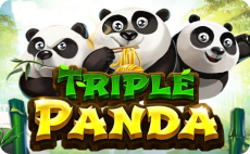 KUBET Triple Panda Slots Game