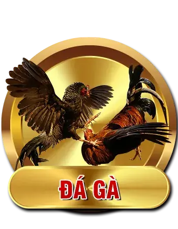 Đá gà kubet
